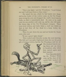 Illustration tirée de "Le merveilleux magicien d