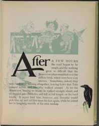 Illustration tirée de "Le merveilleux magicien d