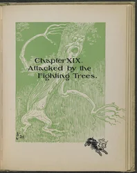 Illustration tirée de "Le merveilleux magicien d