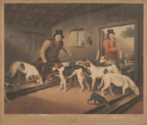 Chasse au renard : meute de Raby / Les foxhounds du comte de Darlington dans leur chenil