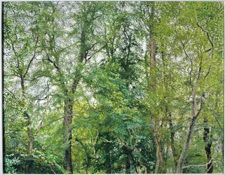 La plantation du jubilé