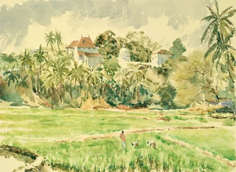 718 Lankatilaka depuis les rizières
