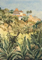 723 Lankatilaka depuis le jardin de poivre