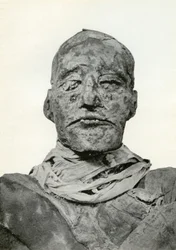 Tête de la momie de Ramsès III, pharaon égyptien de la 20ème dynastie, c1156 av. J.-C. 1926