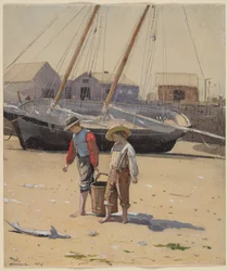 Un panier de palourdes