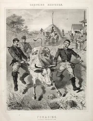 Croquis de campagne : Fourrage, 1863