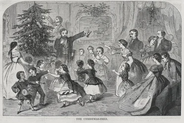 Noël - Récolte de verdure L