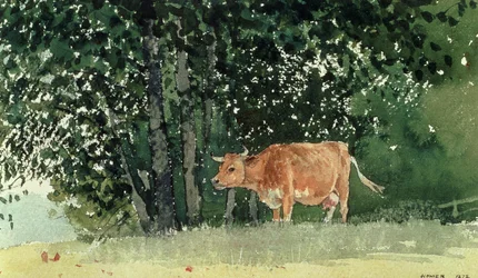 Vache dans un pâturage, 1878