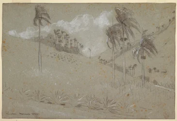 Dessin, colline cubaine, 1885