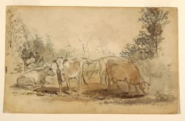 Dessin, Quatre vaches broutant dans un pâturage, vers 1855-60