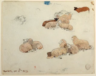 Dessin, moutons au repos, 15 octobre 1878