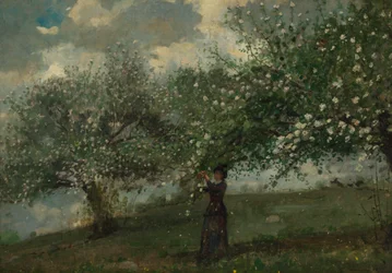 Fille Cueillant des Fleurs de Pommier
