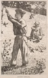 Pommes vertes, 1868