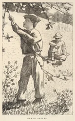 Green Apples, tiré de Our Young Folks, août 1868