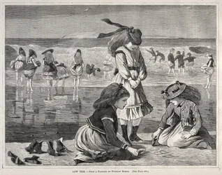 Marée basse
