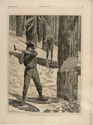 Exploitation forestière en hiver