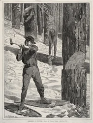 Exploitation forestière en hiver