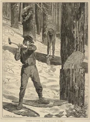 Lumbering in Winter, tiré de Every Saturday : A Journal of Choice Reading, 28 janvier 1871