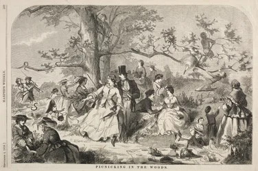 Pique-nique dans les bois