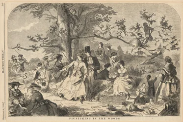 Pique-nique dans les bois, de Harper