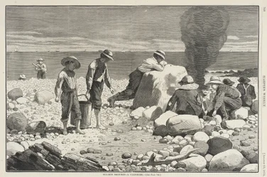 Esquisses balnéaires - Un « clam bake »