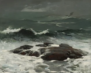 Tempête d