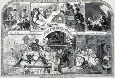 Thanksgiving Day, 1860, Les deux grandes classes de la société, extrait de Harper