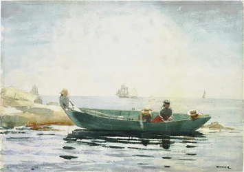 Le doris vert