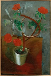 Fleurs rouges