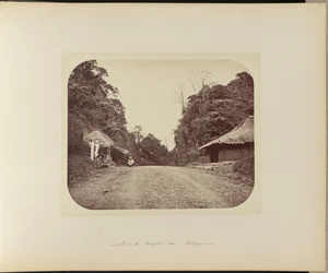 Sommet du Poentjak près de Buitenzorg