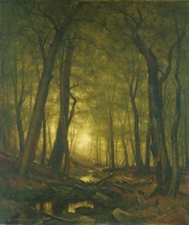 Soirée dans les bois
