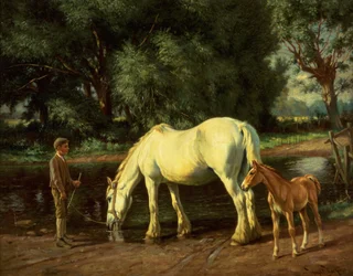 Une jument et son poulain au gué (huile sur toile)