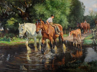 Chevaux de ferme et poulain à un gué, c.1915