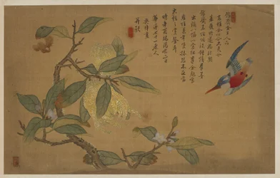 Oiseau, Fruit et Fleurs