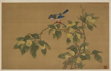 Oiseau et Fruit