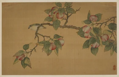 Oiseau et fruit, dynastie Qing, 1741