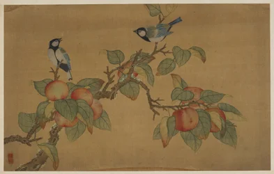 Oiseaux et fruits
