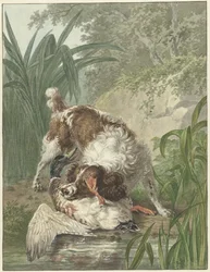 Chien de chasse attrapant un canard