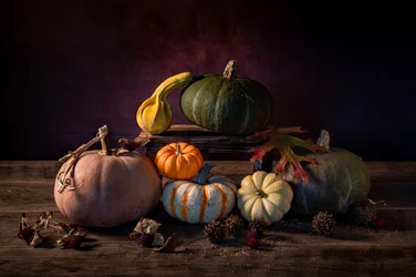 Citrouilles de la récolte d
