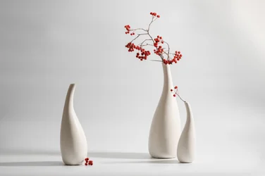 Vases élégants avec baies rouges