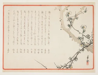 (Fleurs de prunier)