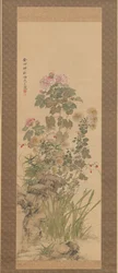 Fleurs d