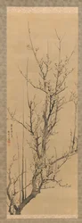 Fleurs de prunier