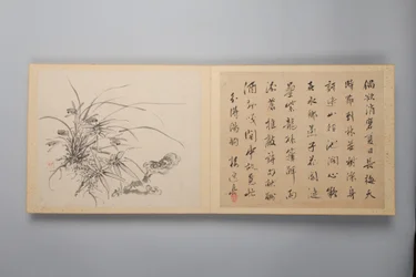 Élégance raffinée dans les quatre saisons Shiji seiga, Album de peintures de fleurs