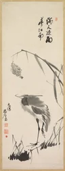 Aigrette et roseaux