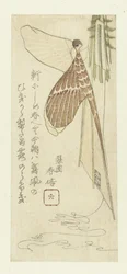 Le cerf-volant