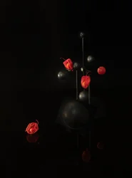 Mobile sombre aux lanternes flottantes
