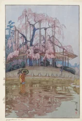Pluie de printemps