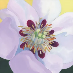 Pétales de magnolia aux couleurs éclatantes