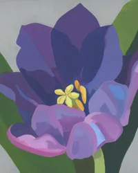 Fleur violette éclatante
